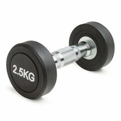 Гантель неразборная круглая 2,5 кг. VictoryFit [VF-R025] фотографии