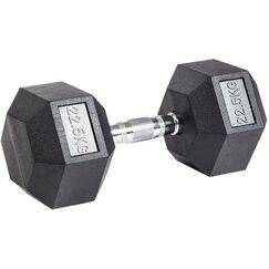 Гантели:  Гантель гексагональная обрезиненная PROFI-FIT 22,5 кг фотографии