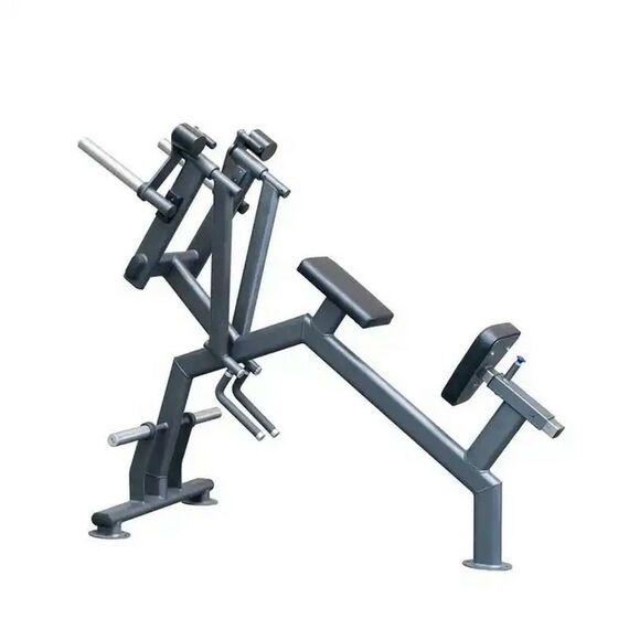 Задняя дельта с упором в грудь Gymmaster SS-26 фотографии