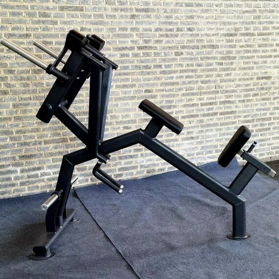 Задняя дельта с упором в грудь Gymmaster SS-26 фотографии
