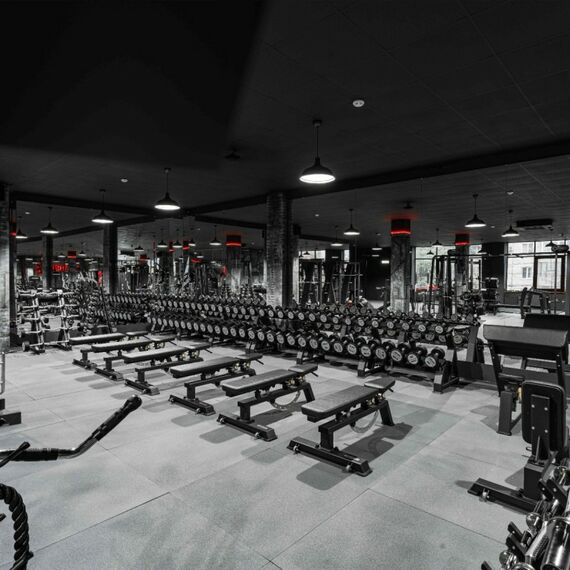 Гантельный ряд полиуретановый PROFI-FIT 40-50 кг шаг 2.5 кг, 5 пар фотографии