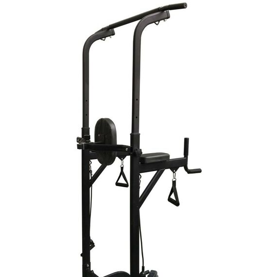 Турники и брусья: Силовая стойка для подтягиваний с эспандерами Royal Fitness HB-DG006 фотографии