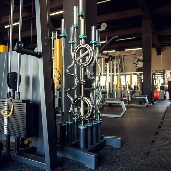 Системы хранения: Вертикальный держатель для олимпийских грифов PROFI-FIT 3010D, на 8 шт. фотографии