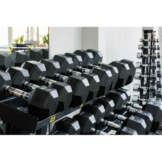 Гантели:  Гантель гексагональная обрезиненная PROFI-FIT 45 кг фотографии